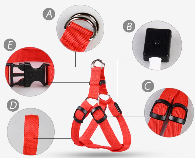 Świecące szelki LED dla psa USB – bezpieczeństwo i widoczność w nocy