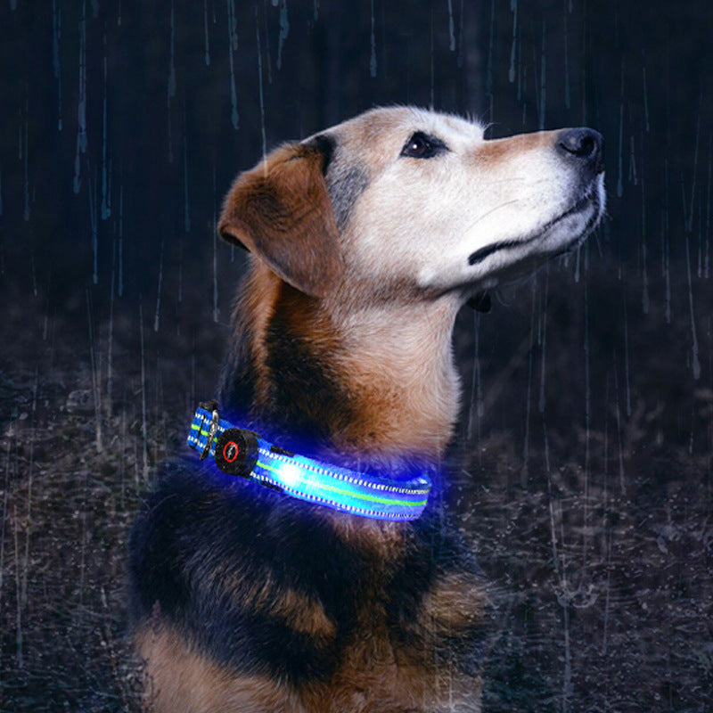 Świecąca obroża LED dla psa z ładowaniem magnetycznym