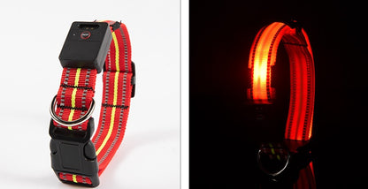 Świecąca obroża LED dla psa z ładowaniem magnetycznym