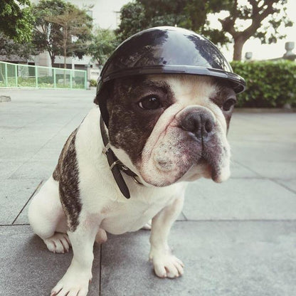 Stylowy kask dla psa + okulary przeciwsłoneczne  | Twój pupil jak prawdziwy boss!