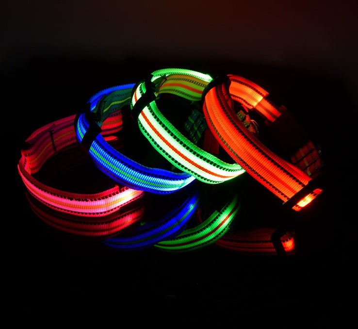 Świecąca obroża LED dla psa z ładowaniem magnetycznym