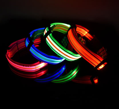 Świecąca obroża LED dla psa z ładowaniem magnetycznym