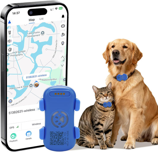 GPS-Tracker für Hunde und Katzen – Sie wissen immer, wo Ihr Haustier ist