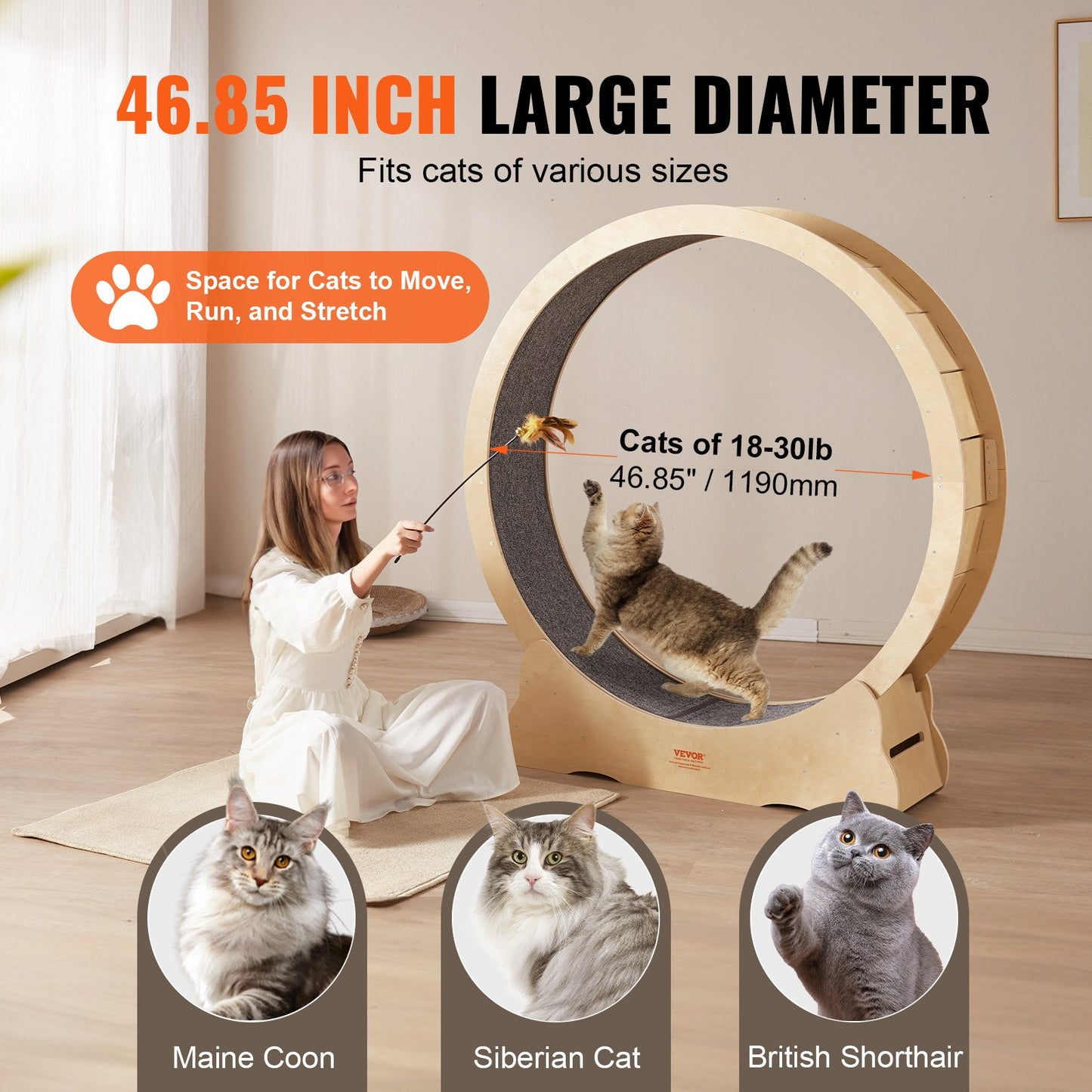 Drewniane koło treningowe dla kota VEVOR – ciche, stabilne, dla kotów 8–14 kg