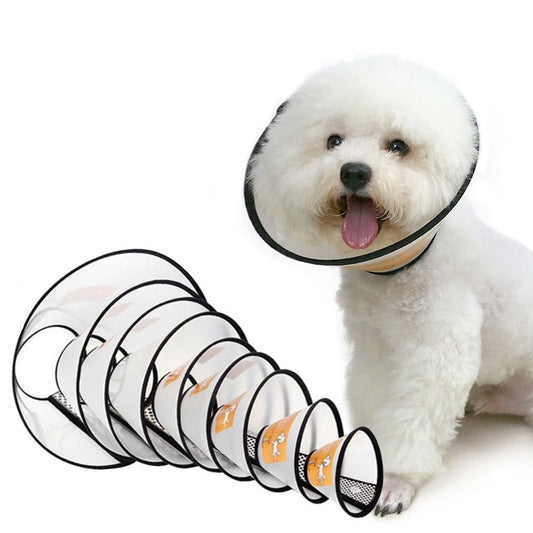 Halskrause für Hunde und Katzen – stressfreier Komfort nach der Operation | Leicht und sicher