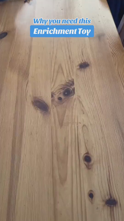 1.mp4
